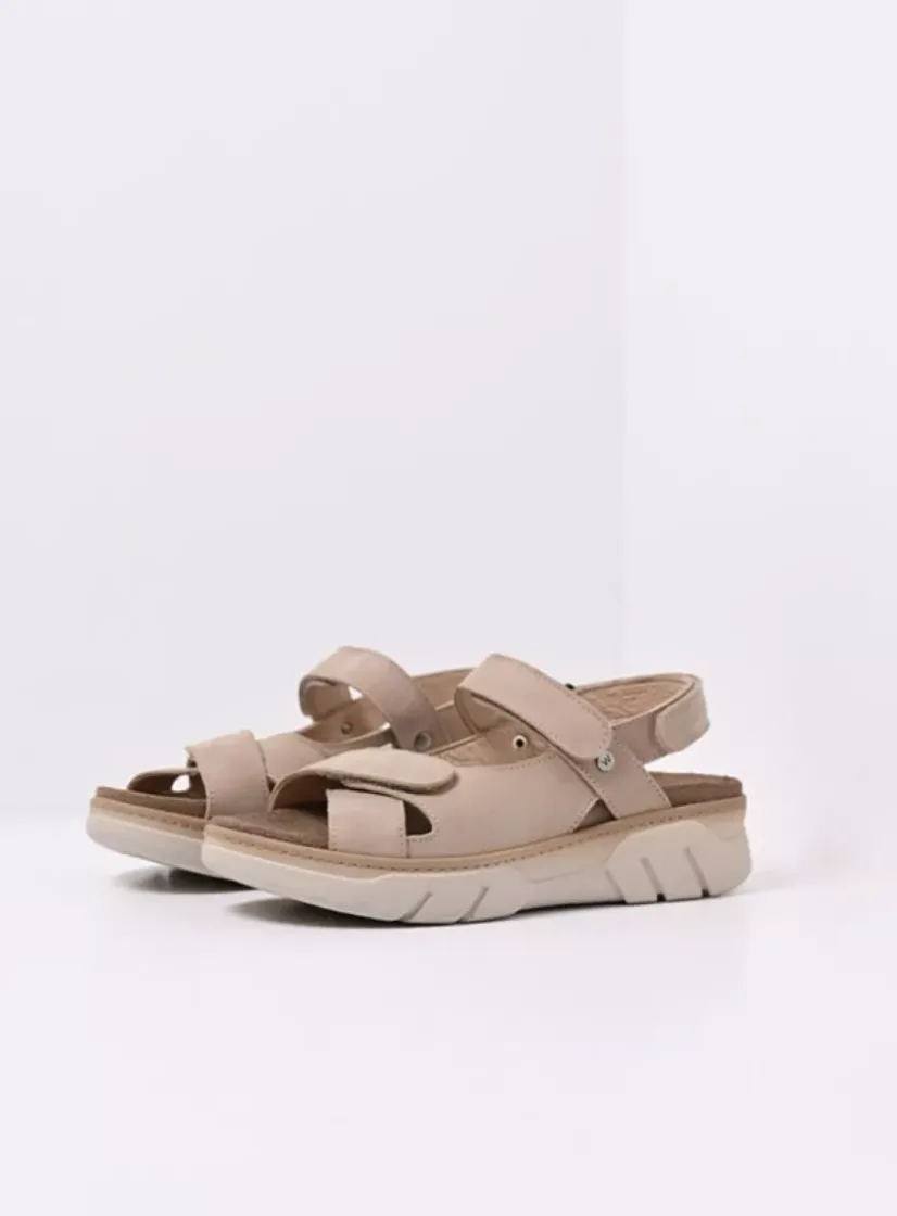 Wolky Rapid - nubuck safari<DAMES Sneakers